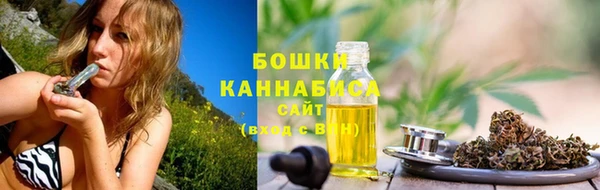 ПСИЛОЦИБИНОВЫЕ ГРИБЫ Абаза