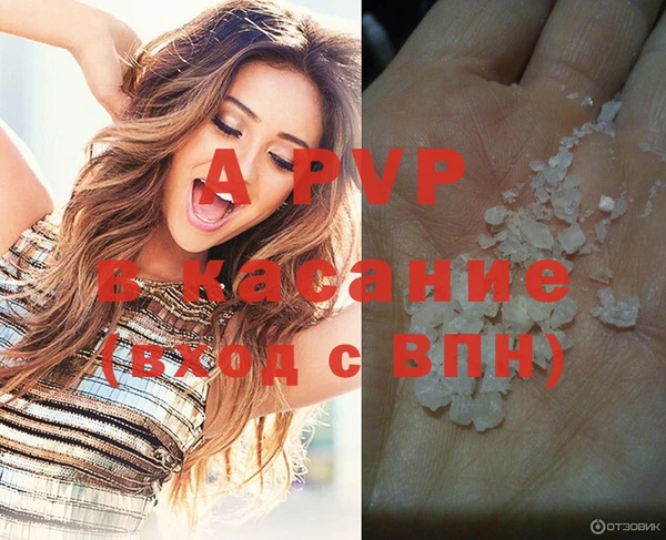 ПСИЛОЦИБИНОВЫЕ ГРИБЫ Абаза