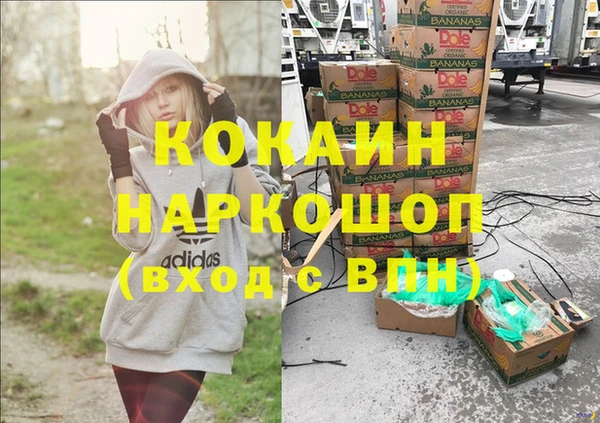 ПСИЛОЦИБИНОВЫЕ ГРИБЫ Абаза