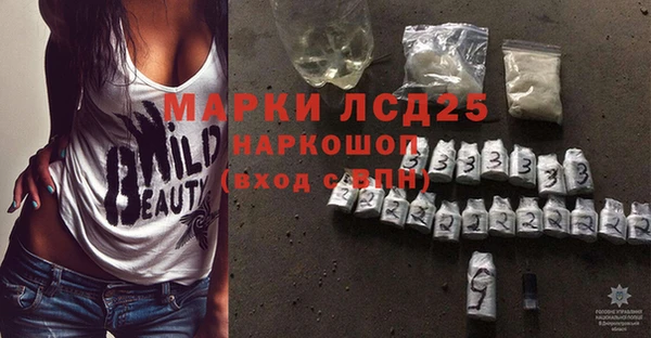 ПСИЛОЦИБИНОВЫЕ ГРИБЫ Абаза