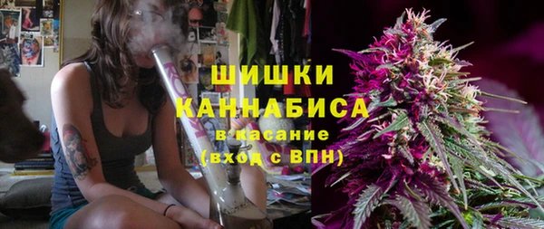 ПСИЛОЦИБИНОВЫЕ ГРИБЫ Абаза
