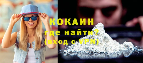 ПСИЛОЦИБИНОВЫЕ ГРИБЫ Абаза
