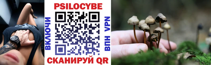 где найти наркотики  Югорск  Галлюциногенные грибы мицелий 